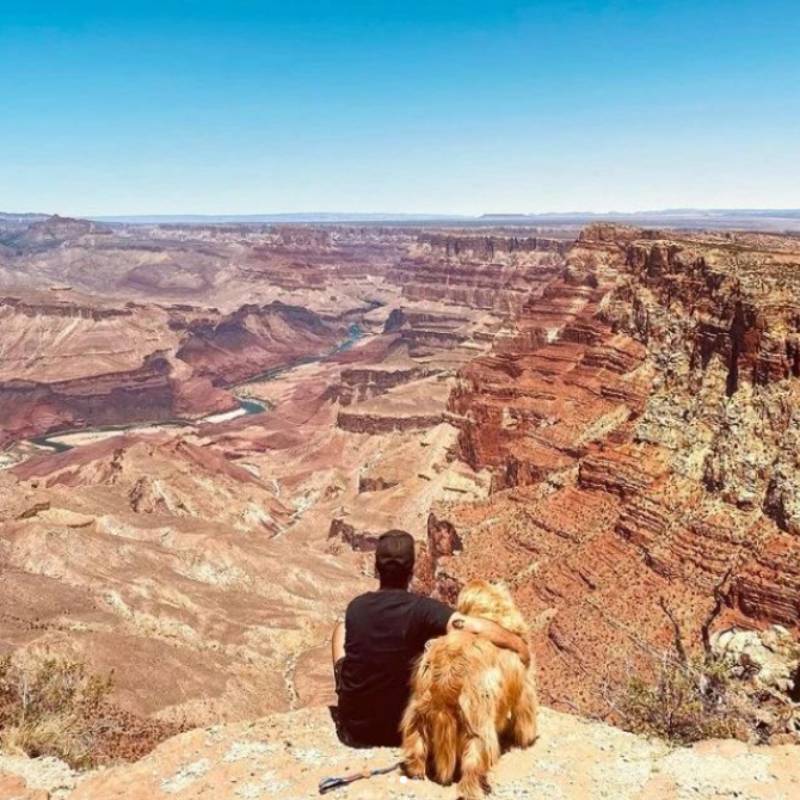 Mejores Amigos Hasta El Final Joven Muere Junto A Su Mascota En Un