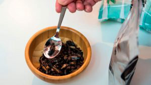 Bugs for taste are pictured at the Disgusting Food Museum on November