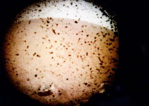 El mdulo espacial InSight de la NASA aterriza con xito en Marte