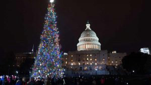 US-POLITICS-CAPITOL CHRISTMAS TREE