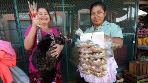 EL PAVO DE NAVIDAD
