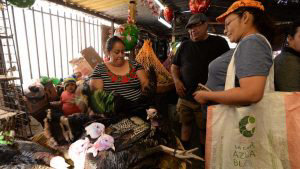 EL PAVO DE NAVIDAD