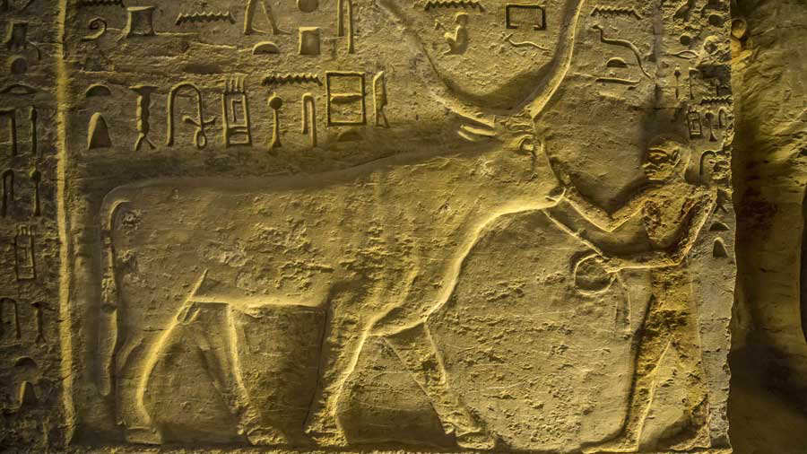 EGYPT-ARCHAEOLOGY
