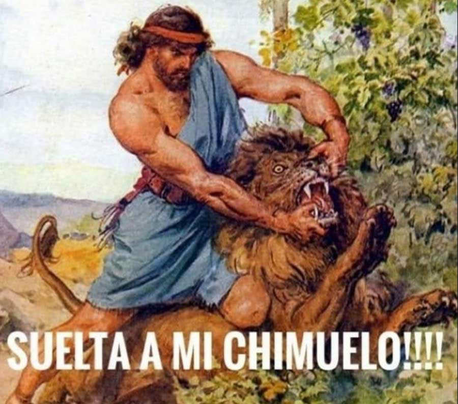 Chimuelo1