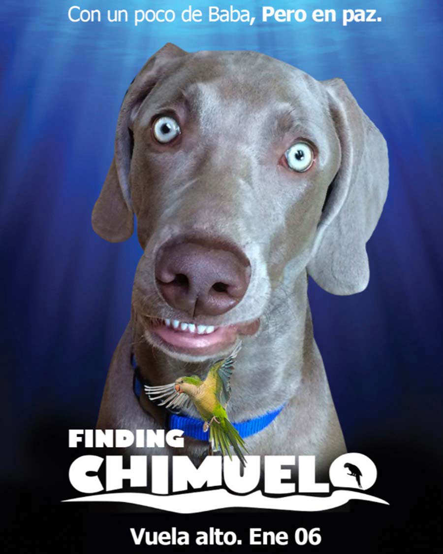 Chimuelo12