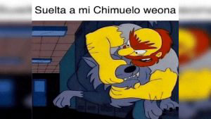 Chimuelo8