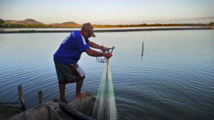 camaroneros10/ anuncia veda de pesca de camarn marino para proteger especie