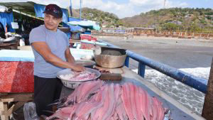 Reubicarán ventas de mariscos del muelle del Puerto de La Libertad |  Noticias de El Salvador 