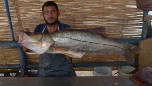 vendedores de pescado en  el  Puerto de  la  Libertad.