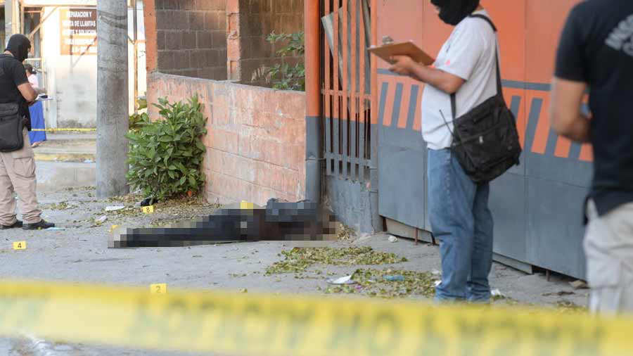 descripci�n de la imagen