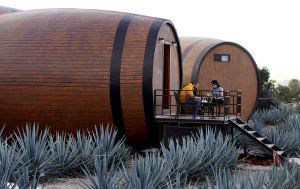 Hotel Tequila