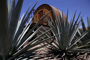 El Insolito Hotel Donde Se Duerme Dentro De Un Barril De Tequila