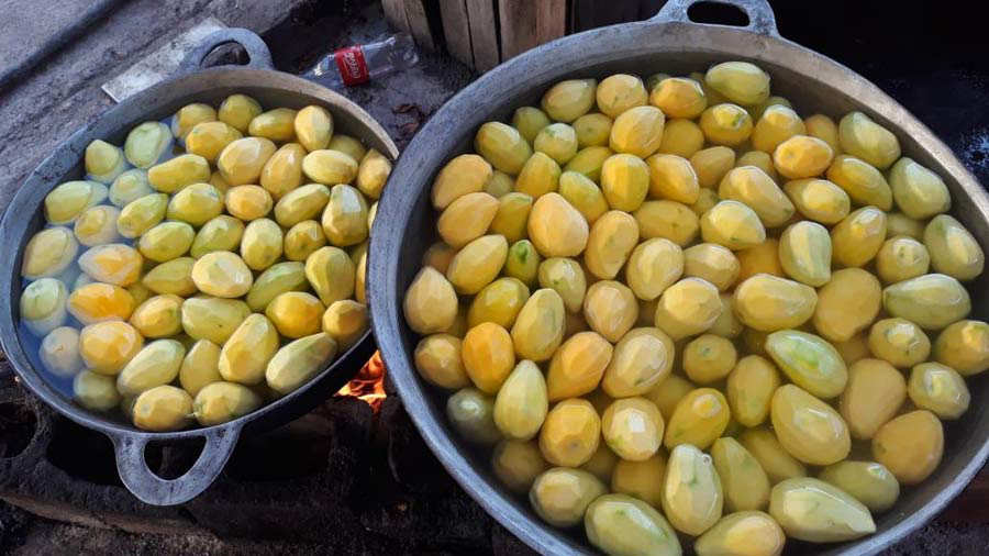 Así se preparan los jocotes y mangos en miel en La Unión