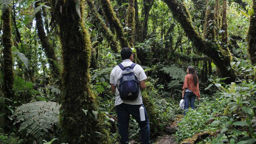 Parque Nacional Montecristo