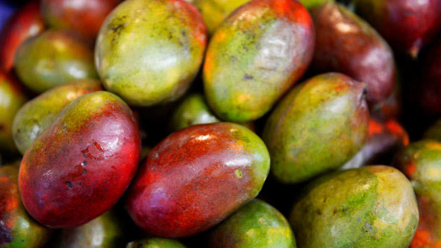 La Exquisita Y Colorida Fruta De Temporada Que Disfrutan Los