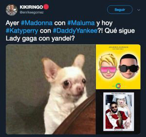 Memes-Maluma-Madonna_14