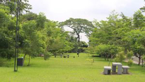 edificio4