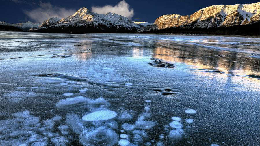 descripci�n de la imagen