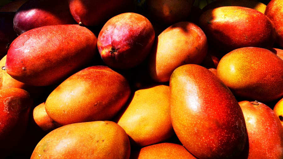 La exquisita y colorida fruta de temporada que disfrutan los