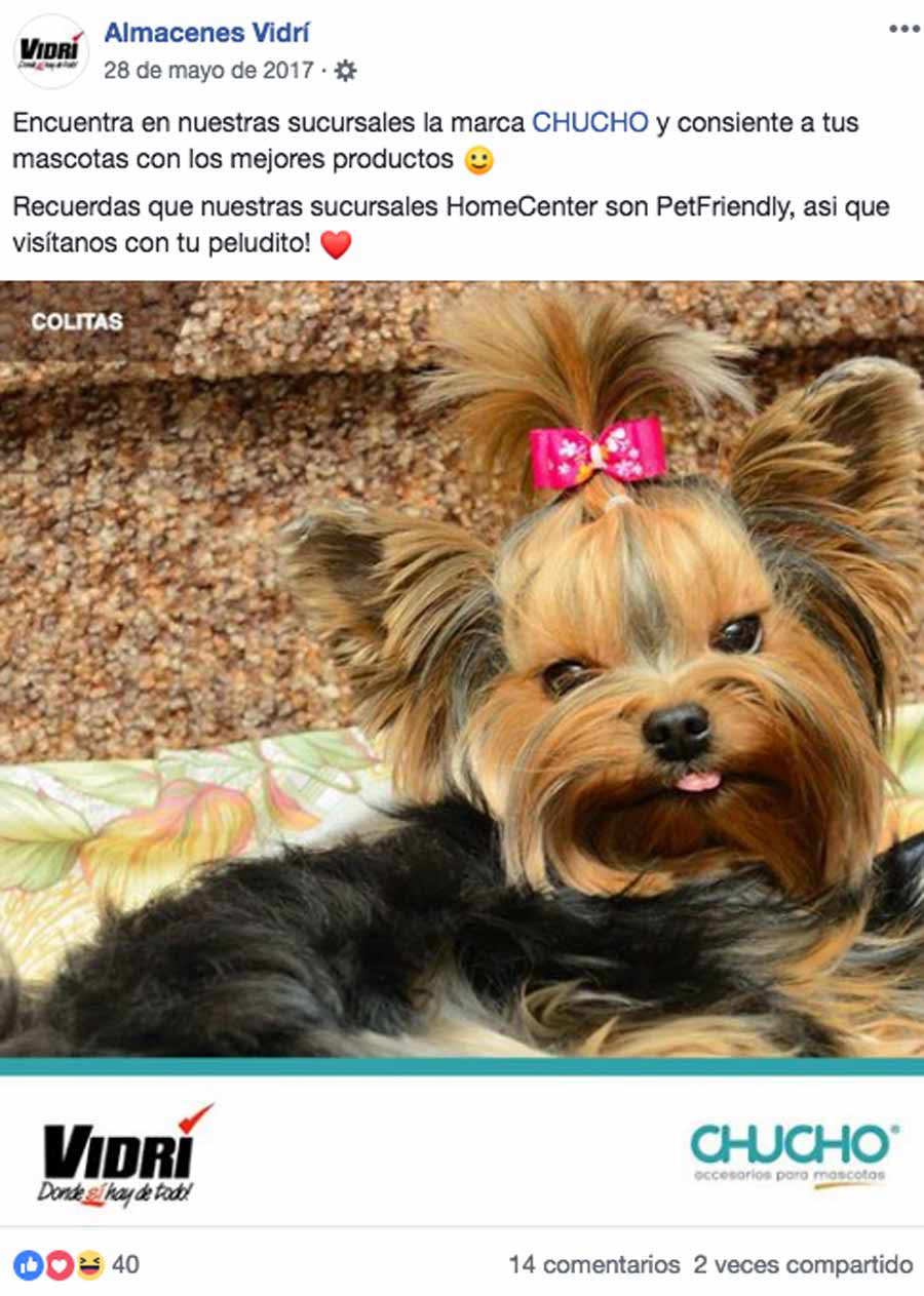 Algunos restaurantes y comercios que son petfriendly en El Salvador Noticias de El Salvador