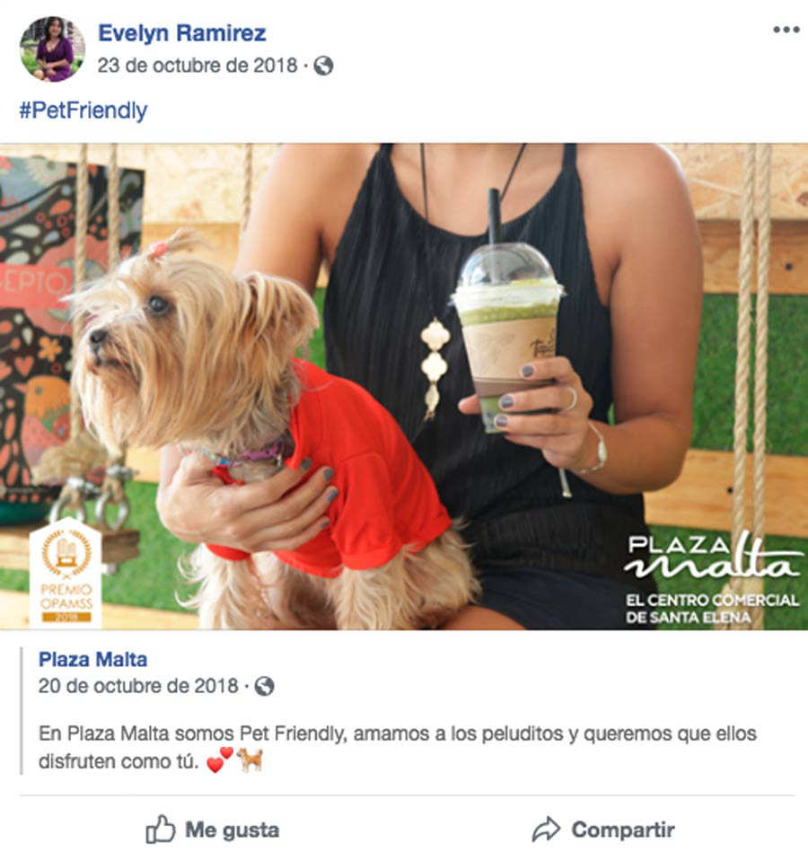 Algunos restaurantes y comercios que son petfriendly en El Salvador Noticias de El Salvador