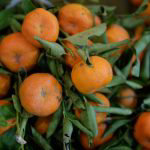 ¿Tiras la cáscara de mandarina? Conoce sus sorprendentes usos y beneficios
