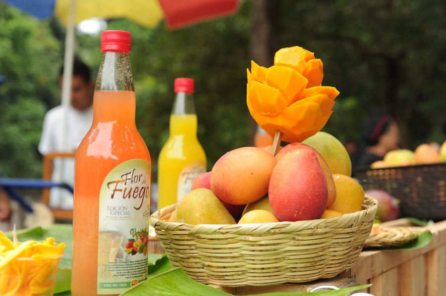 En el 9° Festival del Mango habrá derroche de sabor Noticias de El