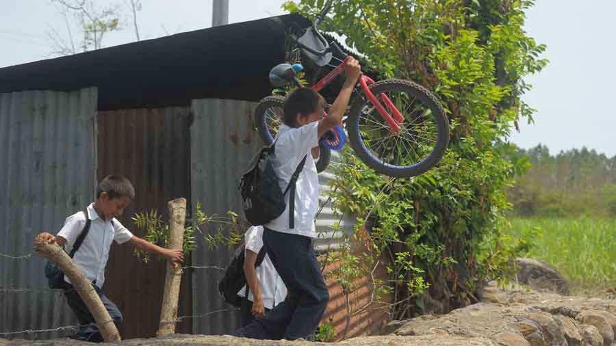 Historia de niños que recorren alrededor de 4 kilómetros para llegar de su casa a la escuela y viceversa.