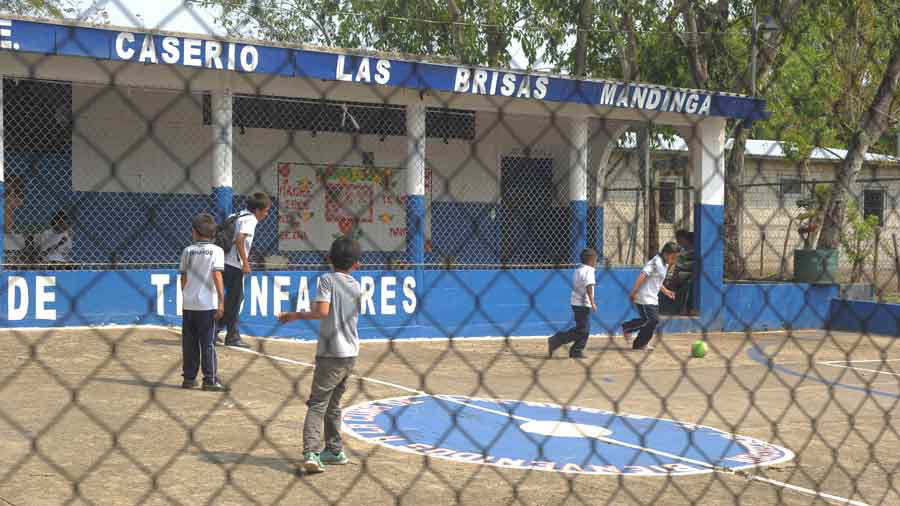 Historia de niños que recorren alrededor de 4 kilómetros para llegar de su casa a la escuela y viceversa.