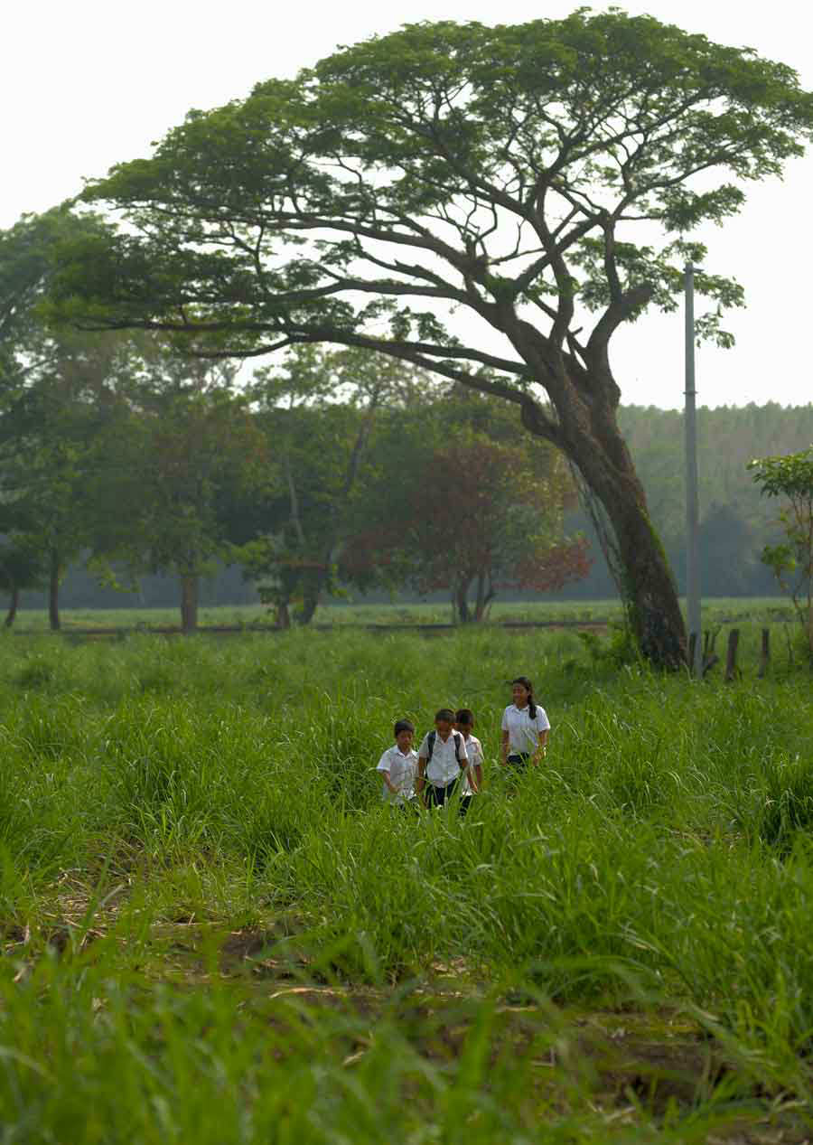 Historia de niños que recorren alrededor de 4 kilómetros para llegar de su casa a la escuela y viceversa.