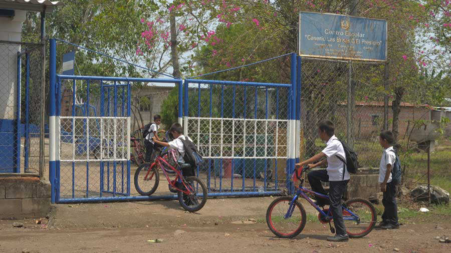 Historia de niños que recorren alrededor de 4 kilómetros para llegar de su casa a la escuela y viceversa.