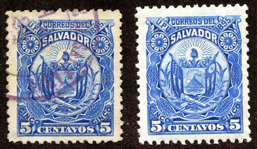 Salvador120-120reprint2