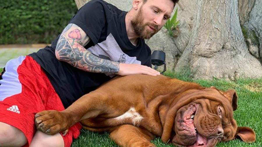 Hulk, el gigantesco y cariñoso perro de Leo Messi | Noticias de El Salvador