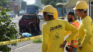 Atropellado_08