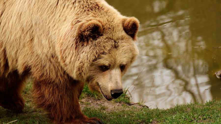 descripci�n de la imagen