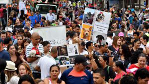 COSTA RICA-ANIMALS-ABUSE-LAW