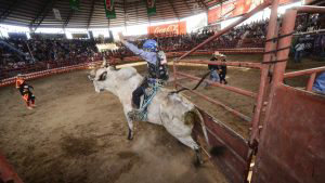 feria376