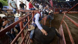 feria377