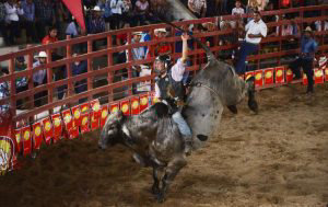 feria378