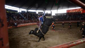 feria379