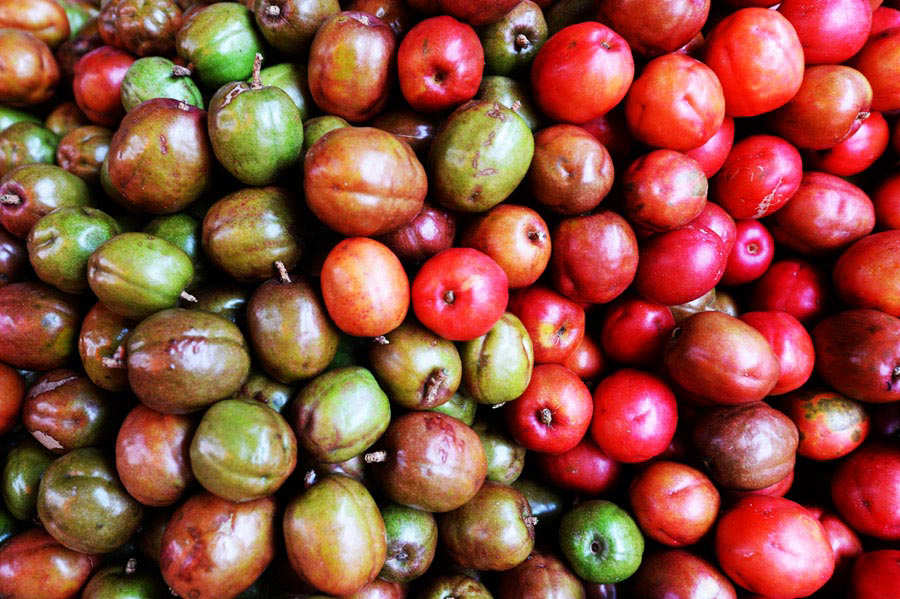 La prueba del ácido las deliciosas frutas de temporada que no puedes perderte Noticias de El La prueba del ácido las deliciosas frutas de temporada que no puedes perderte Noticias de El