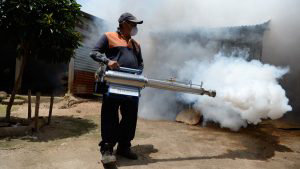 OMS alerta sobre posible aumento de casos de dengue en los próximos meses