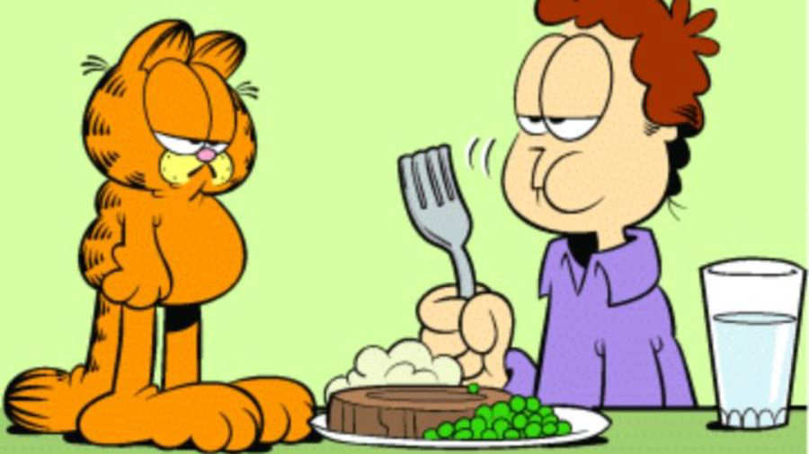 Resultado de imagen de garfield y su dueño