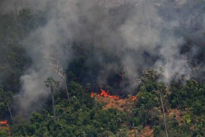 Incendio Amazonas