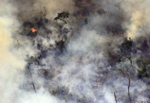 Incendio Amazonas