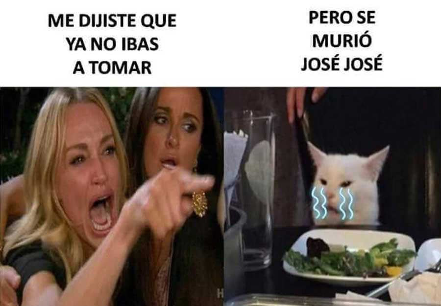 Jose-Jose-gato