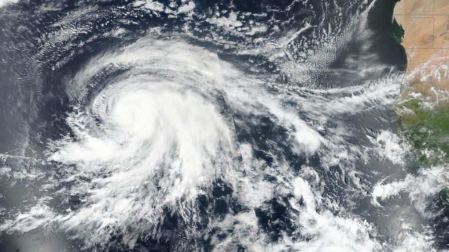 descripci�n de la imagen