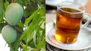 hojas de mango hervidas y diabetes