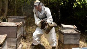Maximiliano Navarro Miranda apicultor