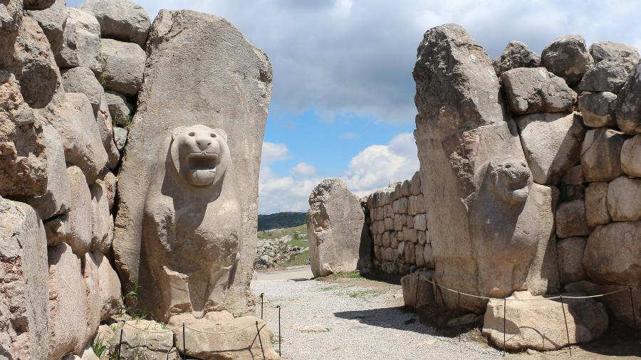 descripci�n de la imagen